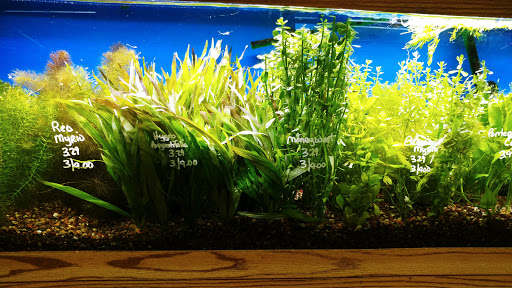Tropical Fish Store «Ocean Design Aquarium», reviews and photos, 7542 W Addison St, Chicago, IL 60634, USA