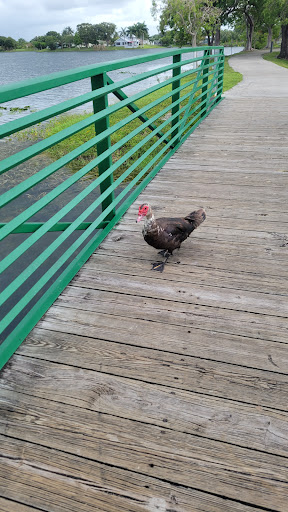 Park «Easterlin Park», reviews and photos, 1000 NW 38th St, Oakland Park, FL 33309, USA