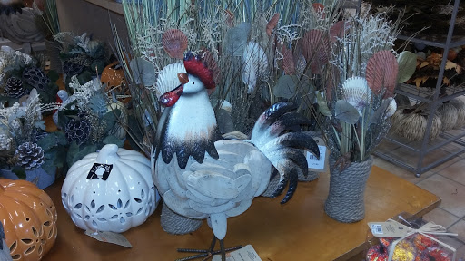 Clothing Store «Bealls Department Store», reviews and photos, 7101 FL-54, New Port Richey, FL 34653, USA