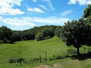 Photo n°12 de La ferme de la truffe à Cuzance ()