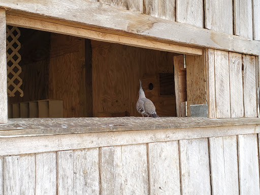 Zoo «Kentucky Down Under Adventure Zoo», reviews and photos, 3700 L and N Turnpike Rd, Horse Cave, KY 42749, USA