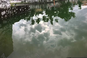 Palkulangara Devi Temple Pond image