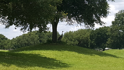 Golf Course «Sandpiper Golf & Country Club», reviews and photos, 6001 Sandpipers Dr, Lakeland, FL 33809, USA