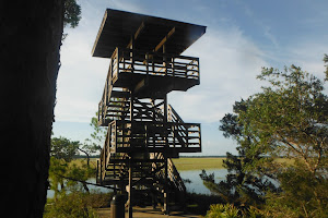 Marsh View Tower