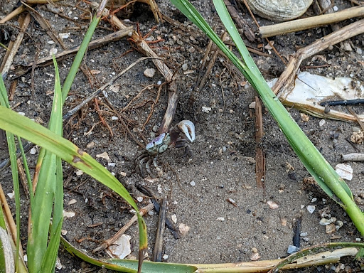 Park «Morse Park Landing», reviews and photos, 4939 US-17 BUS, Murrells Inlet, SC 29576, USA