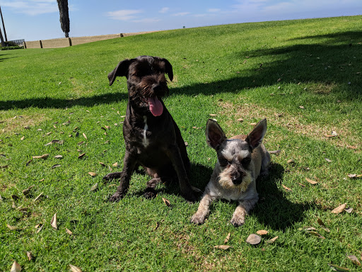 Coronado Cays Dog Park