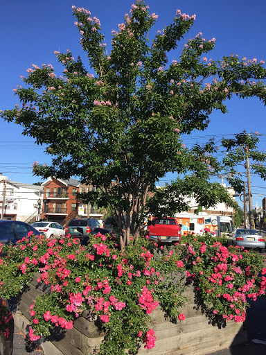 Grocery Store «ACME Markets», reviews and photos, 4100 Park Ave, Weehawken, NJ 07086, USA