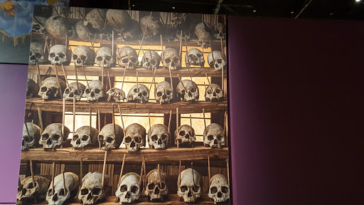 Museum «National Geographic Museum», reviews and photos, 1145 17th Street NW, Washington, DC 20036, USA