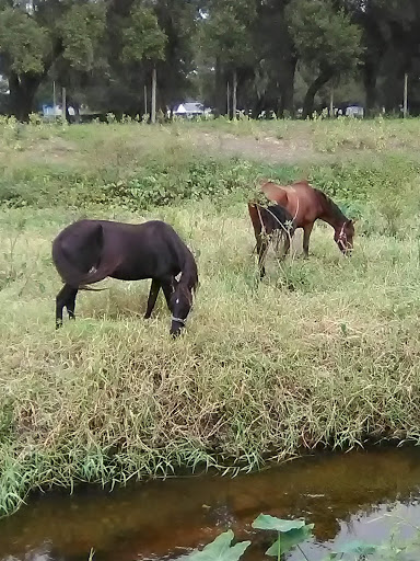 Gym «Hurricane Boxing Gym», reviews and photos, 6600 32nd Ave S, Tampa, FL 33619, USA