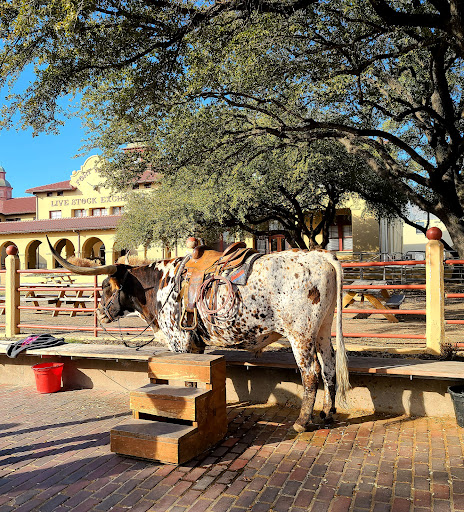 Tourist Attraction «Fort Worth Stockyards Station», reviews and photos, 140 E Exchange Ave, Fort Worth, TX 76164, USA