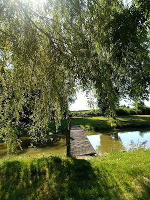 LE CRISTAL à Vigeville