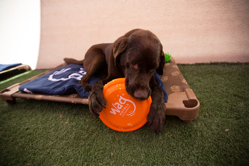 Wag Hotels - West Sacramento image