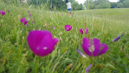 Park «Victoria Park», reviews and photos, 3051 W Northgate Dr, Irving, TX 75062, USA