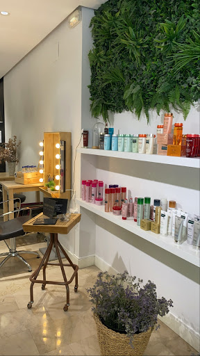 Peluquería Pilar Masdemont Carrer del Comte de Salvatierra en Valencia, Valencia
