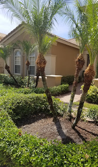 DJ Landscaping Inc - Photo 6 - Car repair in , West Palm Beach