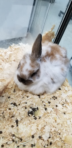 Pet Store «Inland Reef Pet Store», reviews and photos, 817 Cross Lanes Dr, Cross Lanes, WV 25313, USA