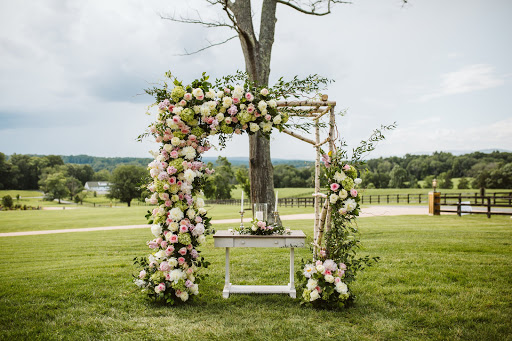 Florist «Tourterelle», reviews and photos, 2216 Ivy Rd, Charlottesville, VA 22903, USA