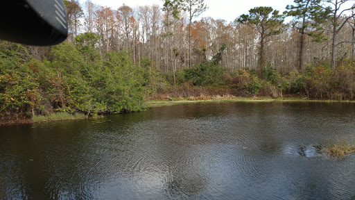 Golf Club «Eagle Creek Golf Community», reviews and photos, 10350 Emerson Lake Blvd, Orlando, FL 32832, USA