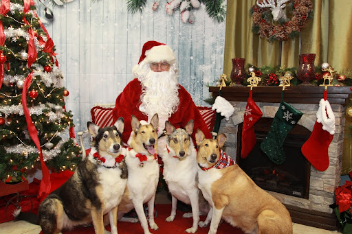 Pet Supply Store «The Hungry Puppy», reviews and photos, 1288 NJ-33, Farmingdale, NJ 07727, USA