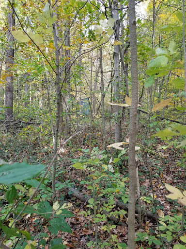 Nature Preserve «Kokiwanee Nature Preserve», reviews and photos, 5825 E 50 S, Lagro, IN 46941, USA