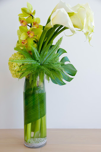 Florist «Pistils & Petals», reviews and photos, 1060 Alton Rd, Miami Beach, FL 33139, USA