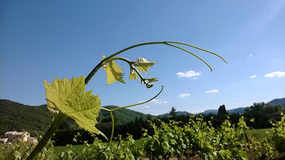 Croizier Meryl à Valvignères