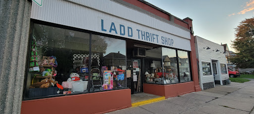 Southtowns LADD Thrift Shop, 2280 Seneca St, Buffalo, NY 14210, USA, 