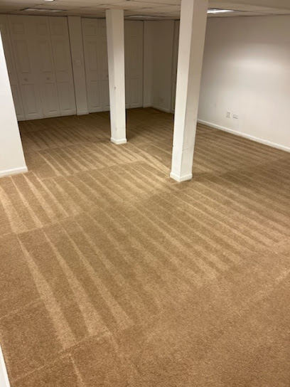 Doyle Carpet Cleaning Service