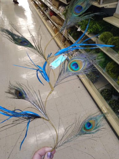 Craft Store «Hobby Lobby», reviews and photos, 3925 Dodge St, Dubuque, IA 52003, USA