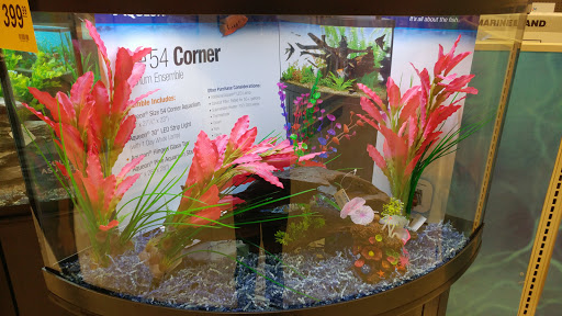 Pet Supply Store «PetSmart», reviews and photos, 2840 W Chandler Blvd, Chandler, AZ 85224, USA