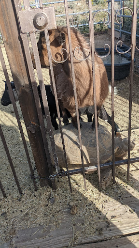 Horseback Riding Service «Spur Cross Stables», reviews and photos, 44029 N Spur Cross Rd, Cave Creek, AZ 85331, USA