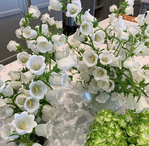 Florist «Arts & Flowers Inc», reviews and photos, 6011 Excelsior Blvd, Minneapolis, MN 55416, USA