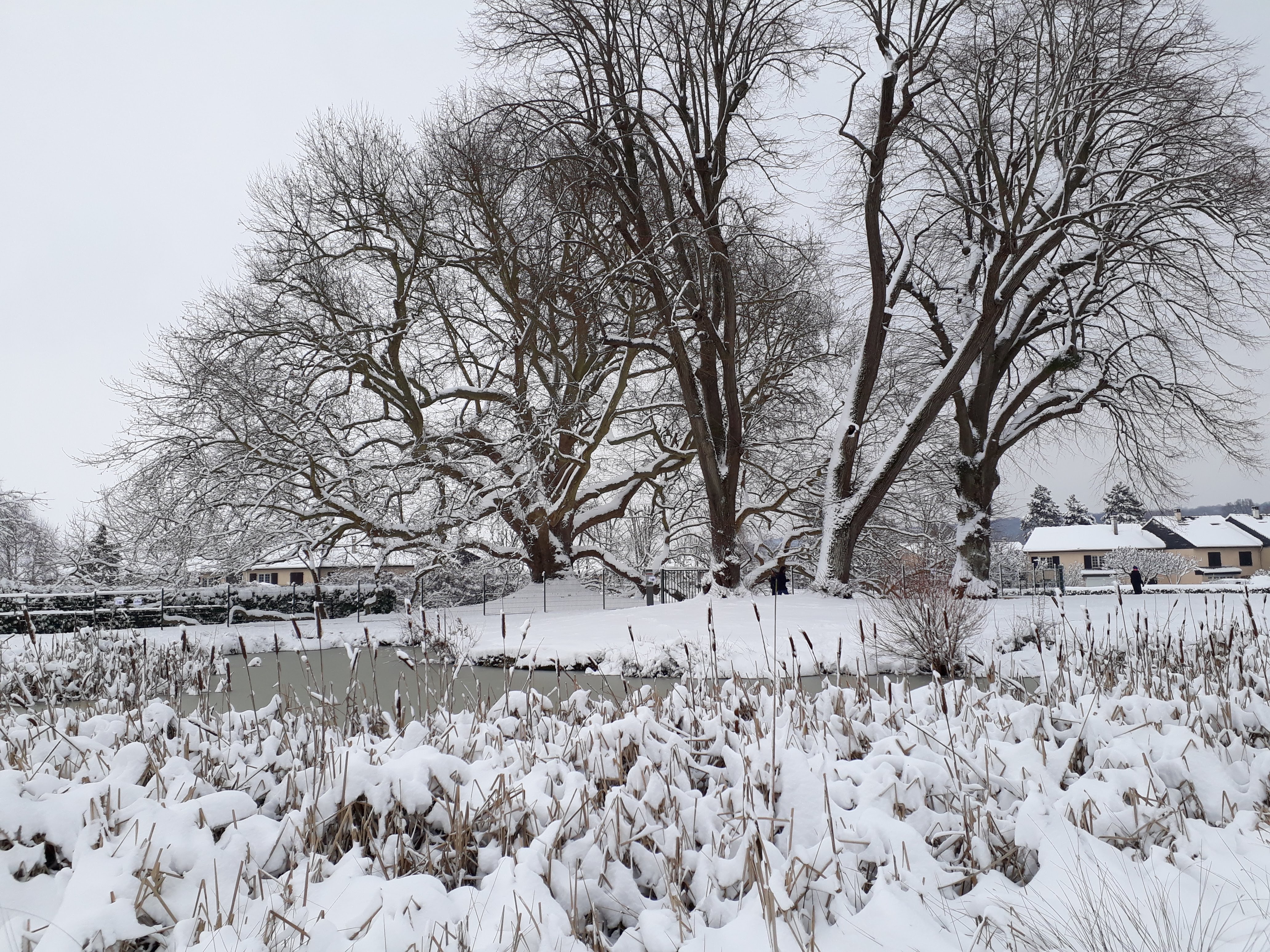 Photo n° 1 de l'avis de Aurelie.r fait le 08/02/2018 à 00:04