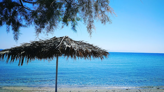 Plage de Petalidi