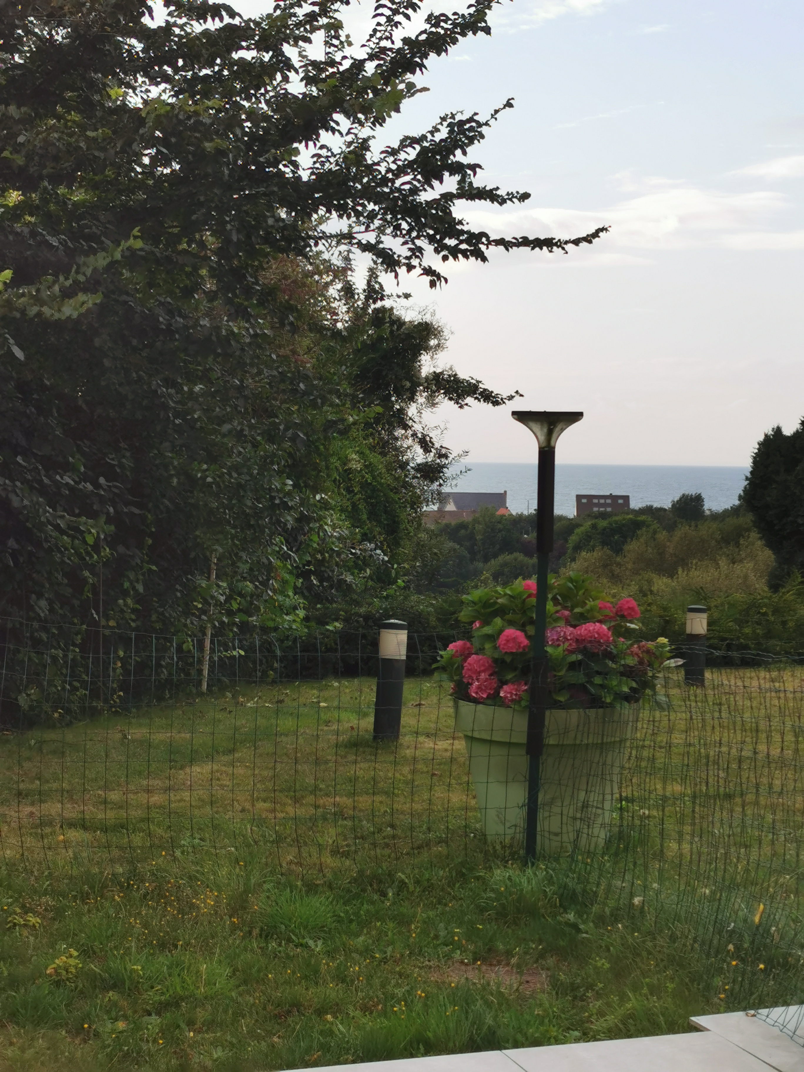 Photo n° 1 de l'avis de THIERRY.E fait le 20/08/2021 à 09:26