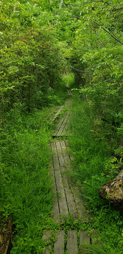 Nature Preserve «Benjamin Olewine III Nature Center», reviews and photos, 100 Wildwood Way, Harrisburg, PA 17110, USA