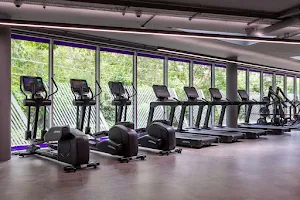 Anytime Fitness Chiswick image