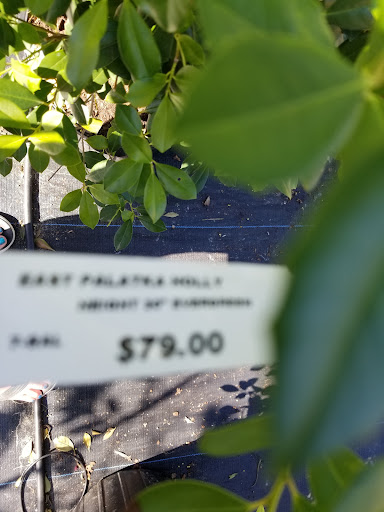 Plant Nursery «Guerin Nursery and Boutique», reviews and photos, 1418 Fall Creek Hwy, Granbury, TX 76049, USA