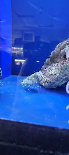 Pet Store «Sierra Fish and Pets», reviews and photos, 601 S Grady Way Suite M, Renton, WA 98057, USA