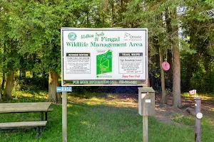 Fingal Wildlife Management Area image