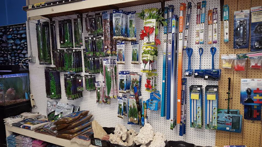 Pet Store «Species Pet Supply», reviews and photos, 1935 W Brandon Blvd, Brandon, FL 33511, USA