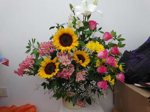 Floreria Monarca Aguascalientes – Aguascalientes