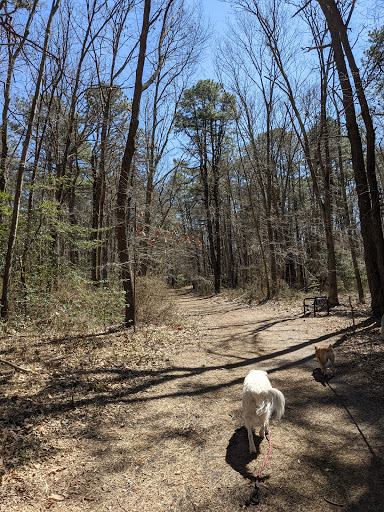 Nature Preserve «Edwin B. Forsythe National Wildlife Refuge- deCamp Wildlife Trail», reviews and photos, 365 Mantoloking Rd, Brick, NJ 08723, USA