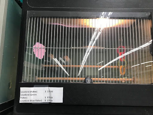 Pet Supply Store «Pet Club San Jose», reviews and photos, 5625 Snell Ave, San Jose, CA 95123, USA