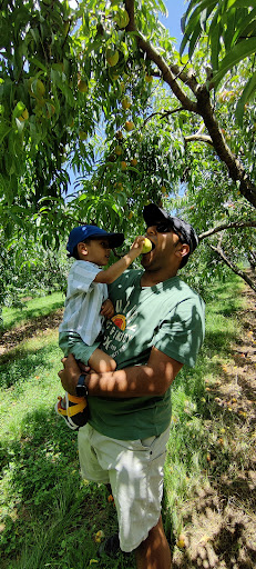 Tourist Attraction «Mitcham Farm», reviews and photos, 797 W Macedonia Church Rd, Oxford, GA 30054, USA