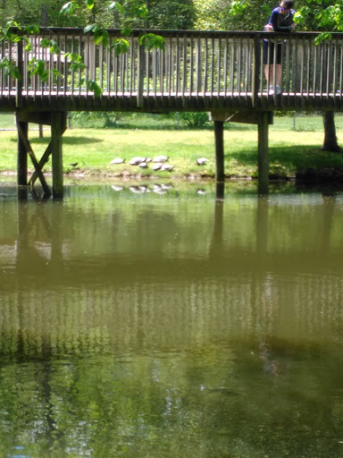 Zoo «Cape May County Park & Zoo», reviews and photos, 707 U.S. 9, Cape May Court House, NJ 08210, USA