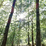 Photo n°4 de l'avis de Eleonora.e fait le 10/08/2020 à 06:55 sur le  L 'Hotel - Restaurant Bosco Magnano à Magnano