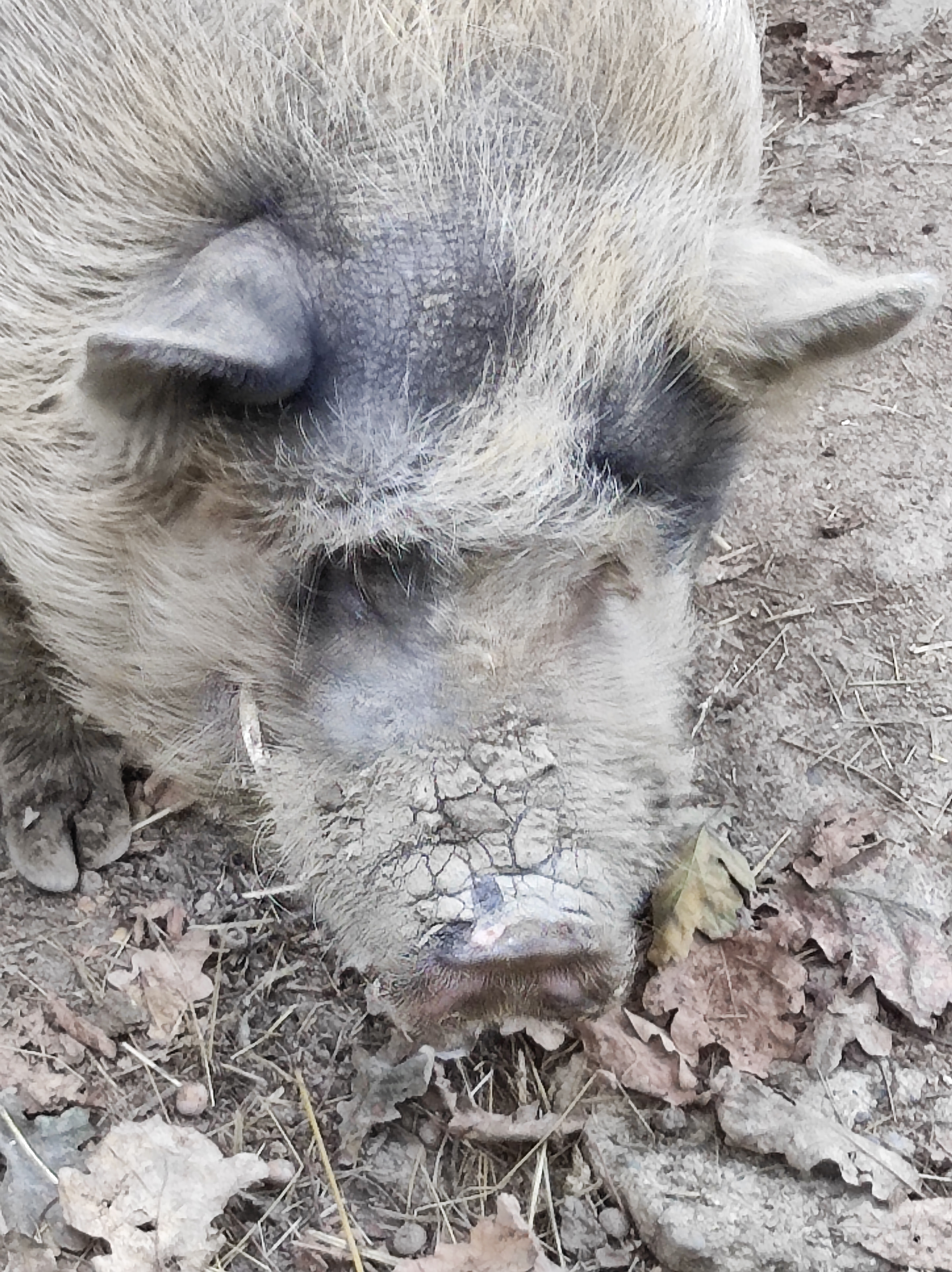 Photo n° 4 de l'avis de jean-luc. fait le 15/09/2022 à 21:02