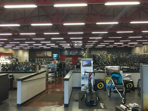 Bicycle Store «Wheels In Motion», reviews and photos, 3402 Washtenaw Ave, Ann Arbor, MI 48104, USA