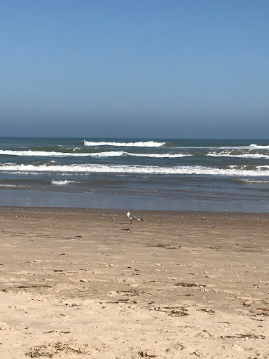 Explore tribal band tattoo ideas, creative tattoo ideas in South Padre Island, available at Peggys Temporary & Permanent Tattoos